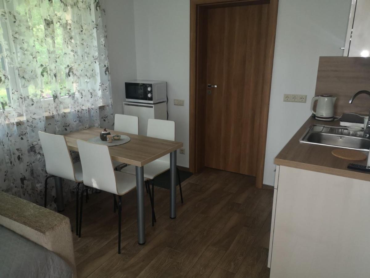 Kristinos Apartment Друскининкай Экстерьер фото