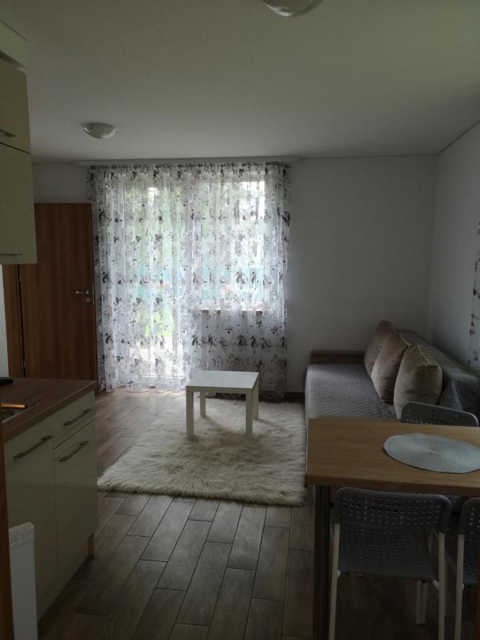 Kristinos Apartment Друскининкай Экстерьер фото