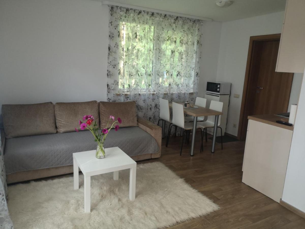 Kristinos Apartment Друскининкай Экстерьер фото