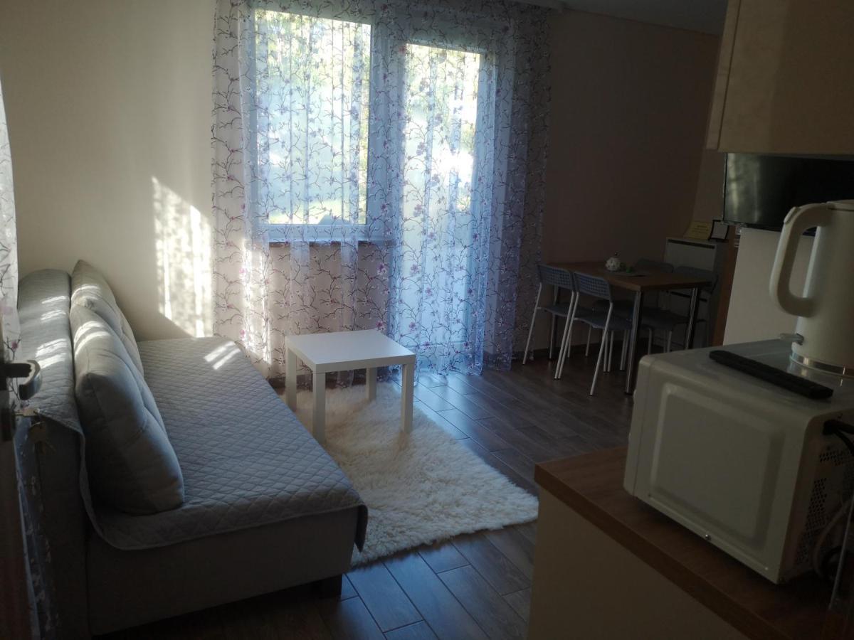 Kristinos Apartment Друскининкай Экстерьер фото