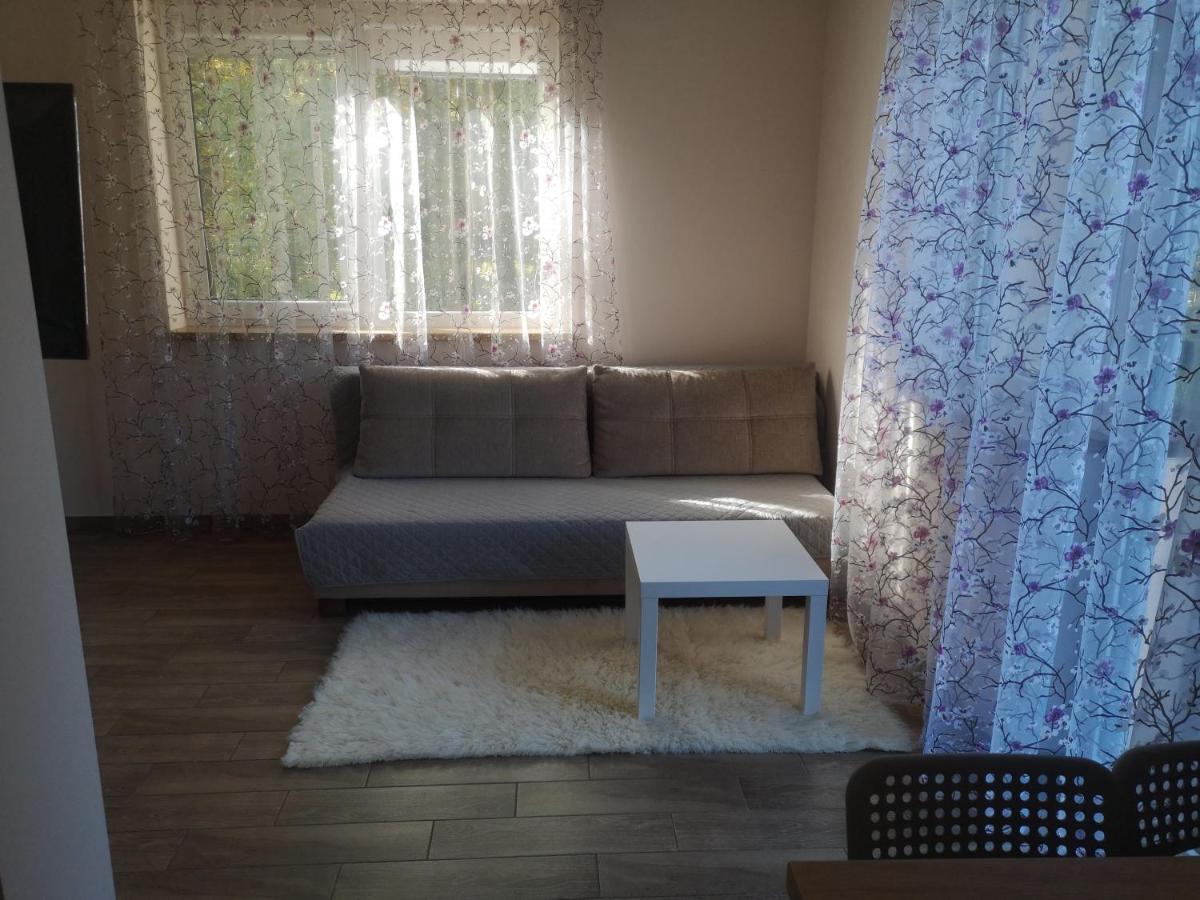 Kristinos Apartment Друскининкай Экстерьер фото