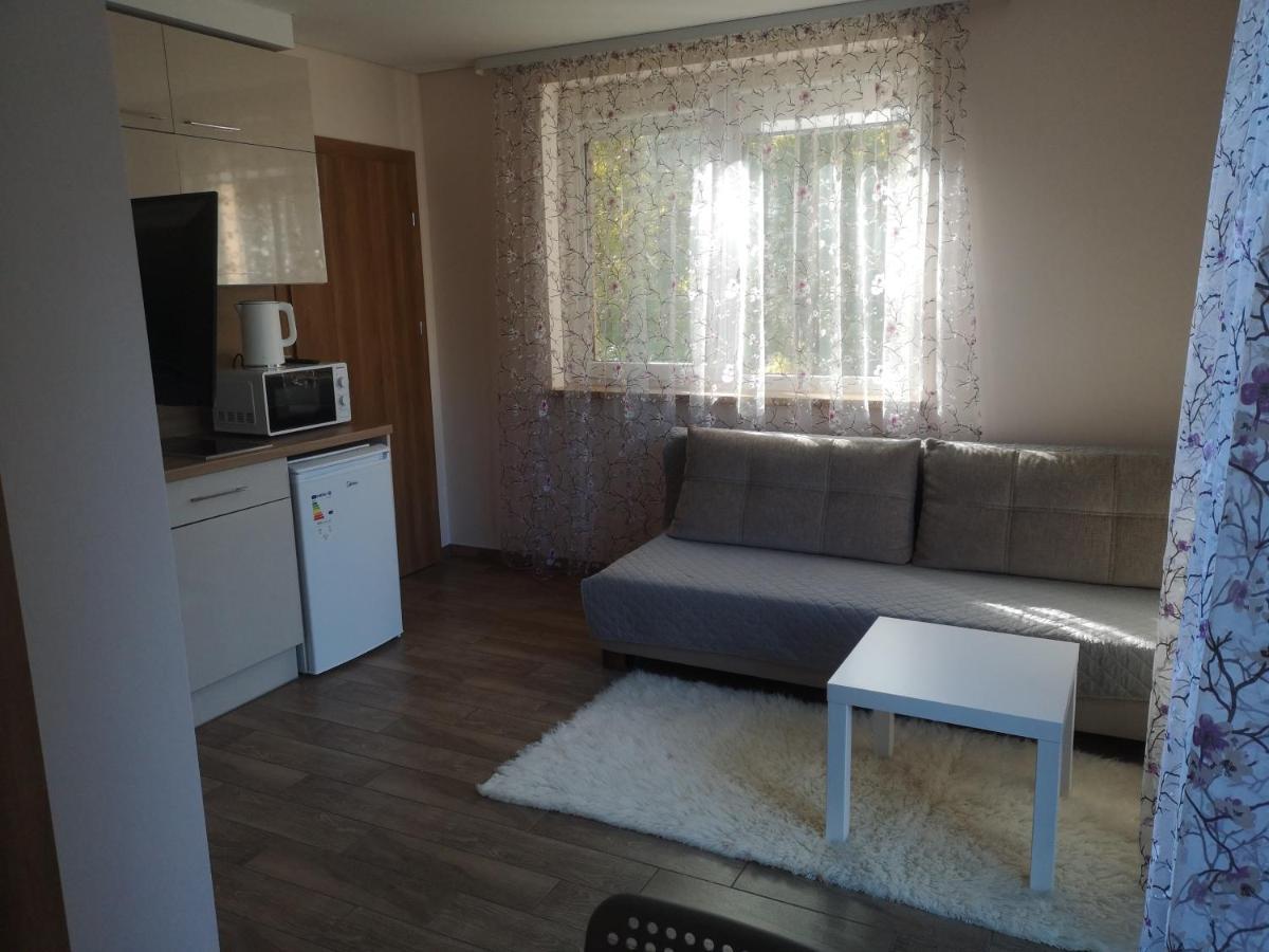 Kristinos Apartment Друскининкай Экстерьер фото